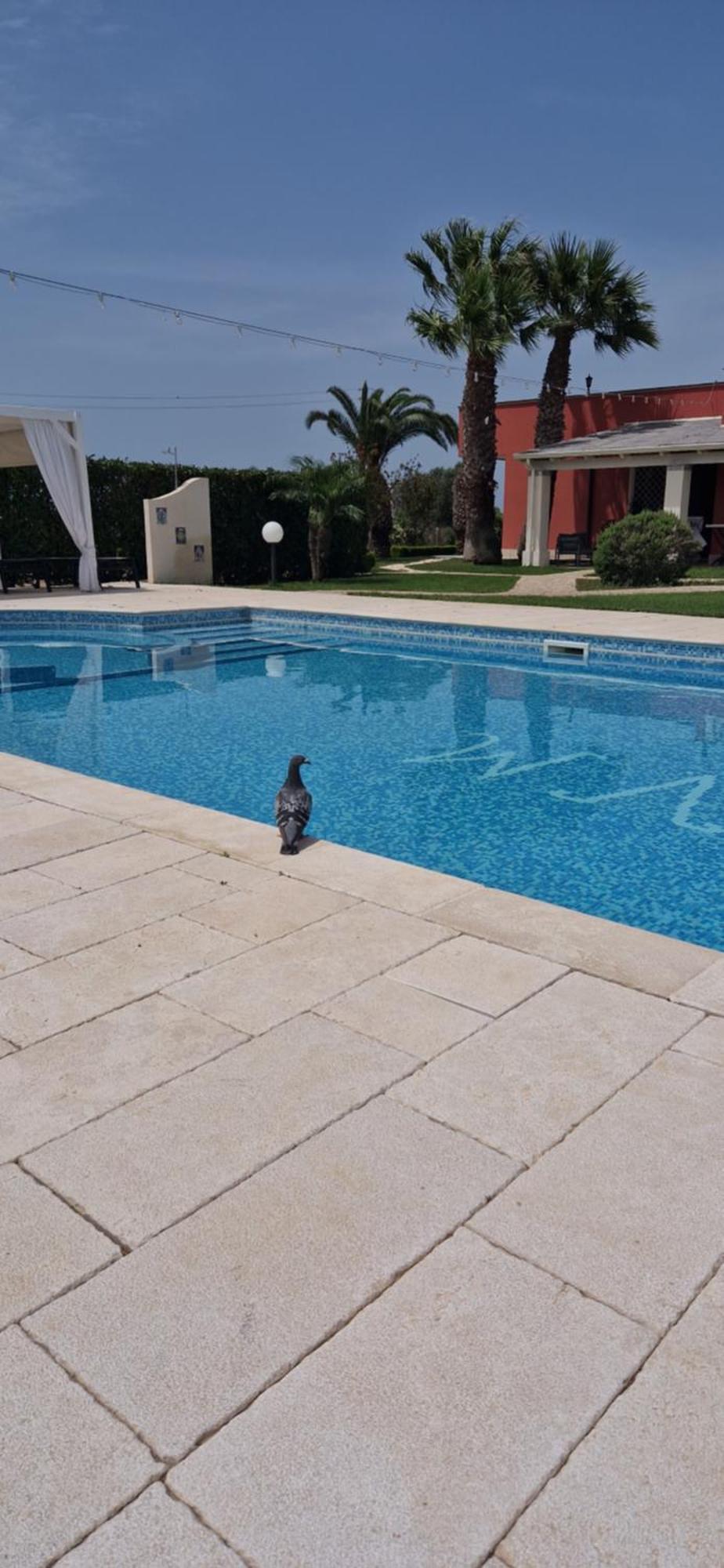Bed & Breakfast Villa Michela Alezio Exterior photo